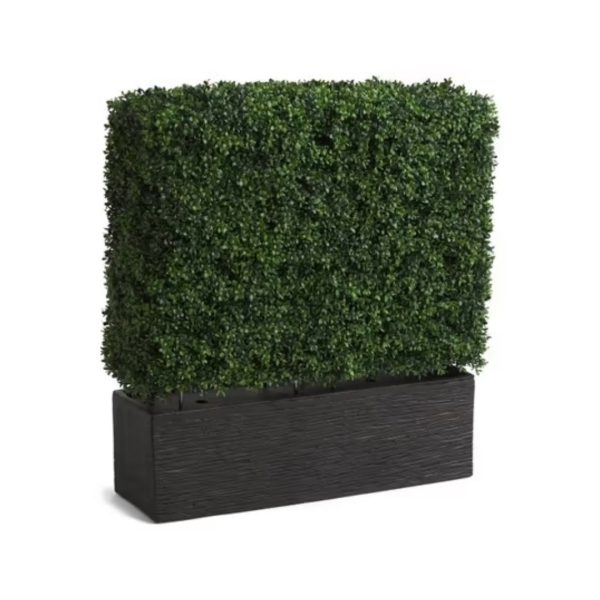 Martha Stewart 33in Uv Protected Boxwood Partition For Sale