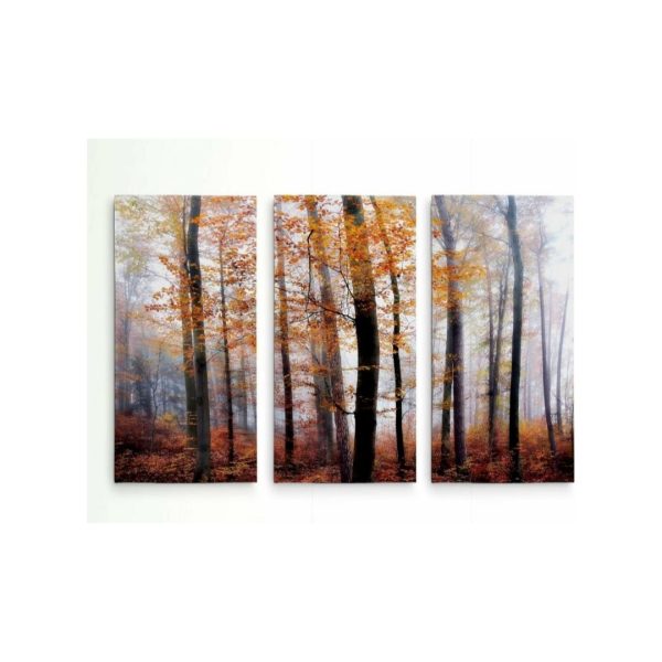 Renditions Gallery Lost in The Forest 3 Panel Wall Art (12″x24″ x 3 Panels) Online Sale